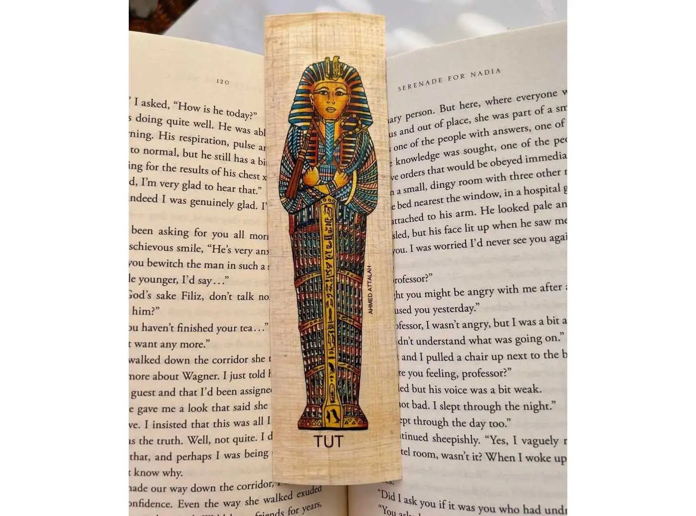 Egyptian Papyrus Bookmarks - Tut Bookmark - King Tutankhamun: Life, Death, & Family - History Educational