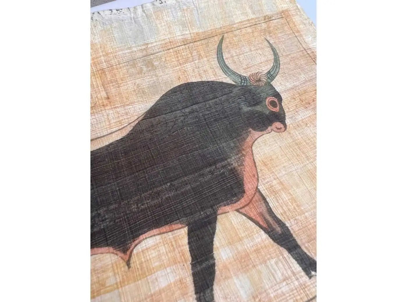 Plate 15 : The Apis Bull - Plates Illustrative of The Researches and Operations in Egypt and Nubia