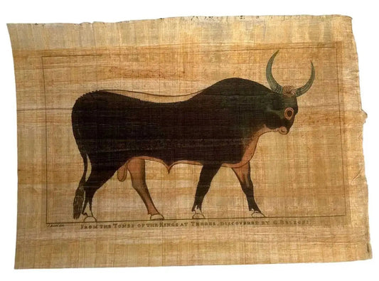 Plate 15 : The Apis Bull - Plates Illustrative of The Researches and Operations in Egypt and Nubia
